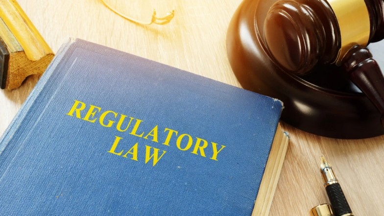New York dog bite case statute of limitations represented by gavel and calendar